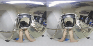 You are my toilet 8K VR